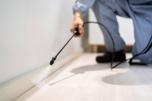 Licensed Exterminator service in Souderton, PA - Show Me Pest Control